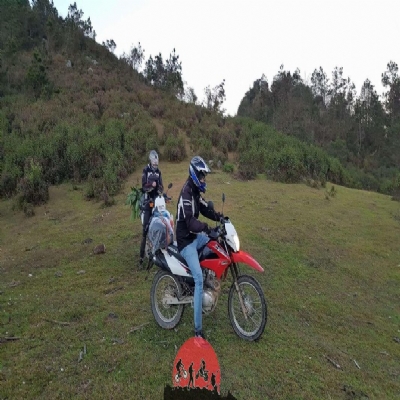 Tricia Watson, UK Submitted 15 December 2019