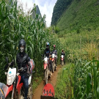 Andrew B Canadian -1 April, 2016