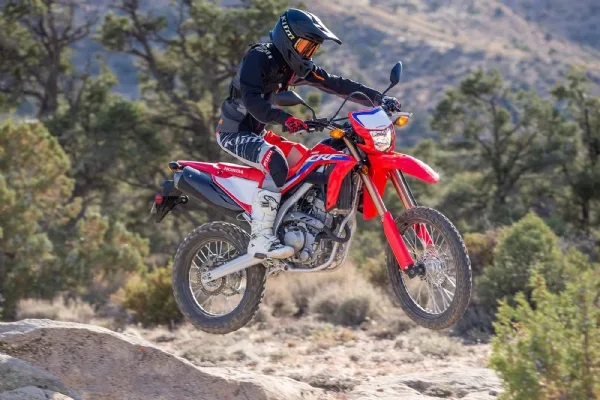 Honda Dual Sport CRF 300L